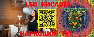 a pvp Краснознаменск