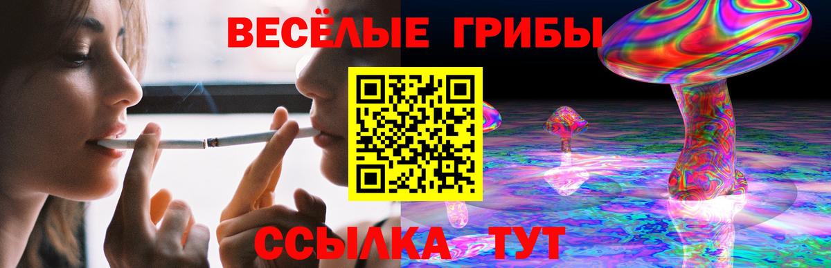 Галлюциногенные грибы Magic Shrooms Кострома