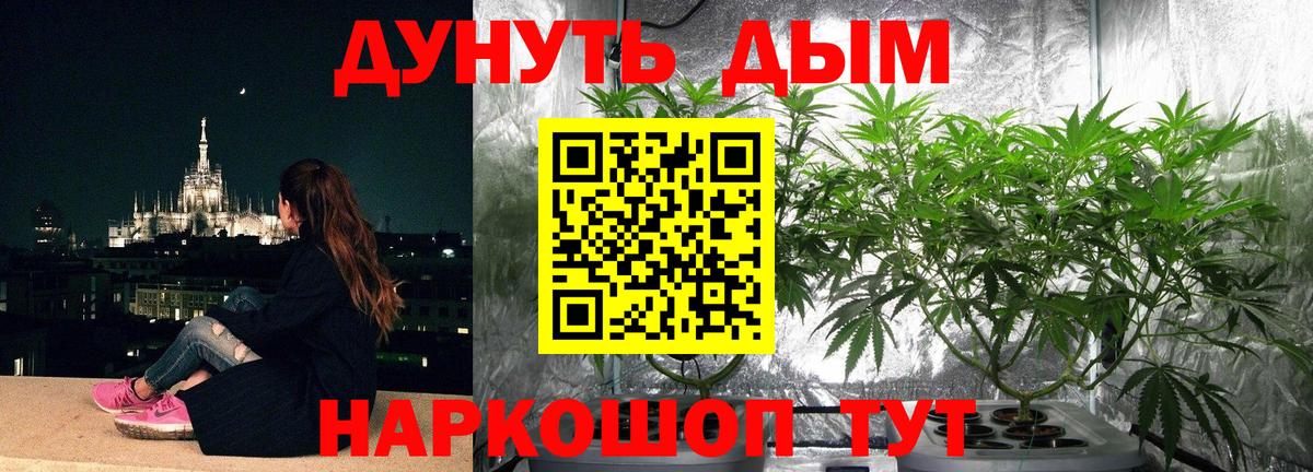 Каннабис Amnesia  Вход с VPN  Конопля семена  Кострома 